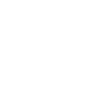 Logo Marie-Albe Grau in white