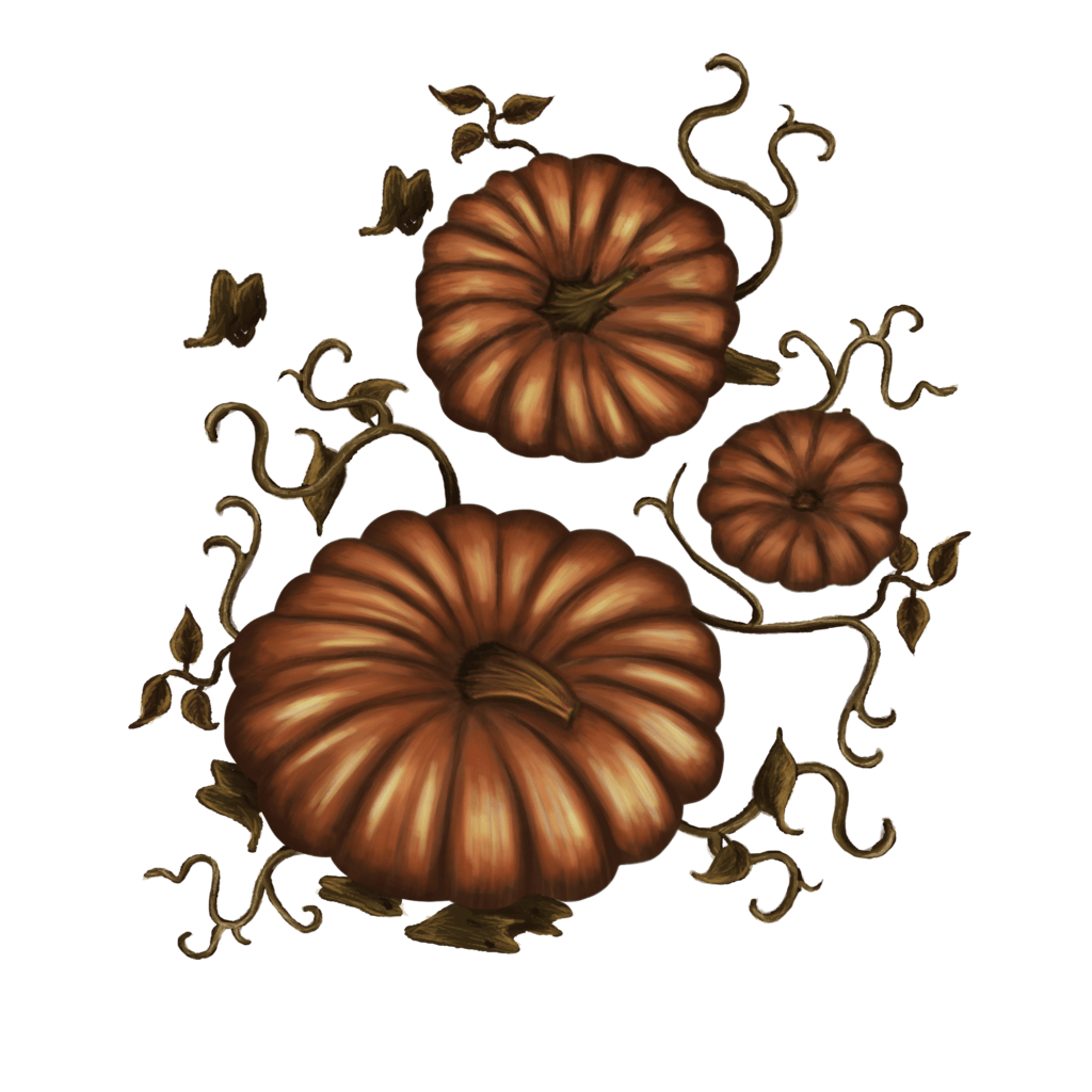 Drawing of three pumpkins of different sizes with different vines around.